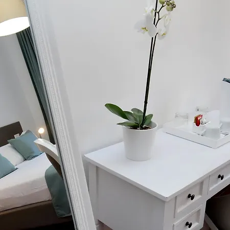 게스트하우스 Midnight In